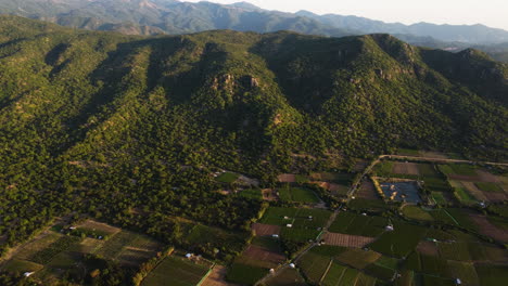 Aerial,-wine-vineyard-farm-fields-at-the-base-of-a-hill-mountain-range