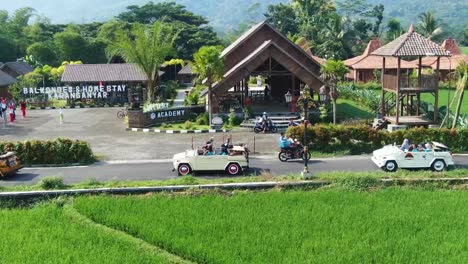Safari-cars-drive-by-rice-fields-and-houses-in-Indonesia,-aerial-pan