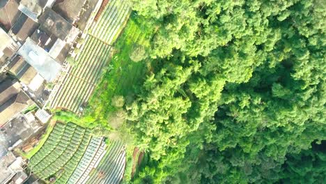 aerial-drone-view-of-dense-forest-with-a-meandering-river