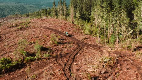 Skidder-machine-in-open-clearcutting-forest-plot-driving-on-mud-track,-destruction-of-natural-woodland