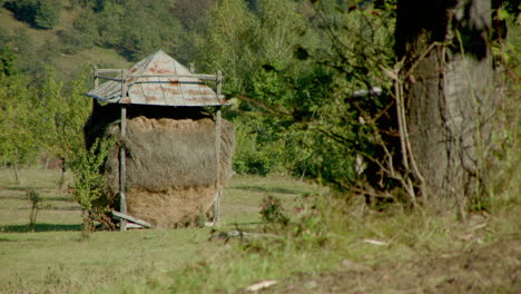 A-rustic-haystack-building-in-rural-northern-Romania