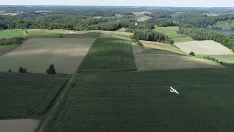 Weißes-Ferngesteuertes-Flugzeugmodell,-Das-über-üppige-Grüne-Wiese-Fliegt---Luftverfolgung