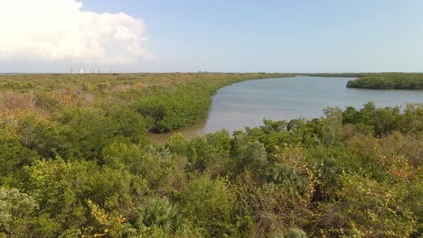 Flight-over-mangroves-ecosystem-in-Lovers-key,-Florida