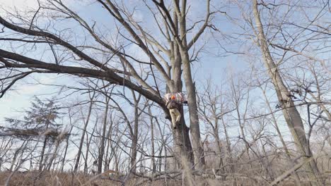 A-dynamic-footage-of-a-man-climbing-a-ladder-towards-his-hunting-blind-that's-been-placed-against-a-withered-tree-in-the-middle-of-the-forest-of-Red-Wing,-Minnesota