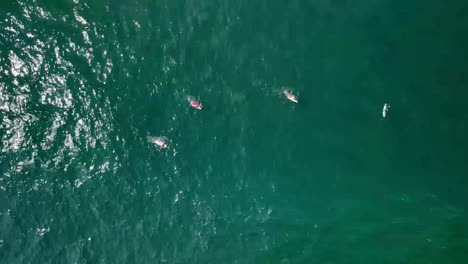 Abajo-Filmando-Surfistas-Remando-En-El-Océano-Pacífico