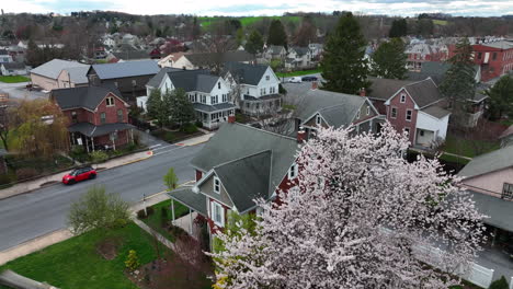 Aufsteigende-Luftaufnahmen-Zeigen-Blühende-Baumblüten-Und-Häuser-In-Der-Amerikanischen-Gemeinschaft