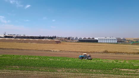 Tractor-En-Campo-De-Repollo-En-Sdot-Negev-Israel