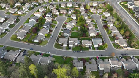 Top-down-aerial-of-cul-de-sacs-in-a-cookie-cutter-American-neighborhood