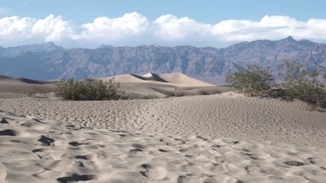 Sand-dunes-with-vegetation-in-Death-Valley,-Mojave-Desert,-California,-Aerial-rising-shot