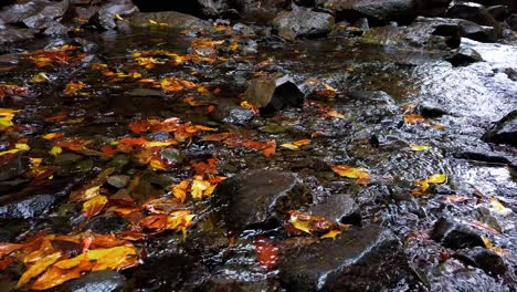Fresh-Water-Stream-Flowing-On-Creek-With-Autumn-Foilage-And-River-Stones---4K