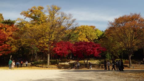 Gente-Coreana-Con-Máscaras-Caminando-En-Un-Parque-Con-El-Horizonte-Otoñal-De-Follaje-De-Colores-Vibrantes-Del-Palacio-Changgyeonggung-Seúl,-Corea-Del-Sur