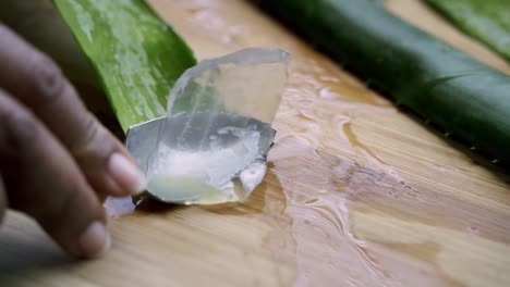 Scooping-out-gel-from-Aloe-Vera-leaf-using-serrated-spoon