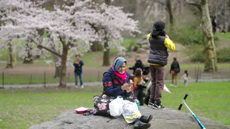 Mutter-Und-Sohn-Entspannen-Sich-Im-Frühling-Auf-Einem-Felsen-Im-New-Yorker-Central-Park-Mit-Kirschblüten-Im-Hintergrund