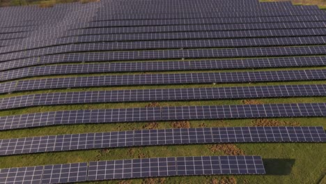 Endless-rows-of-solar-panels-standing-on-a-lush-green-field