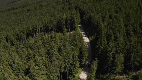 Aerial-dolly-in-of-a-jeep-driving-off-road-on-a-path-hidden-between-a-dense-green-pine-woodland-on-a-hillside-at-daytime,-British-Columbia,-Canada