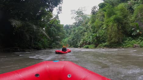 Tourists-kayaking-through-stream-amidst-dense-green-forests