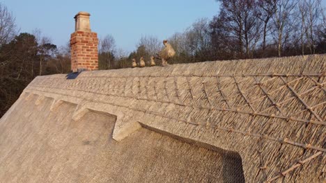 Thatched-roof-ridge-fly-along2
