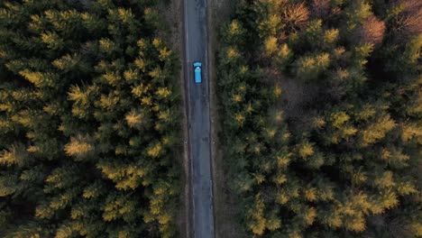 A-blue-car-driving-down-a-picturesque-forest-road-during-golden-hour-in-Germany