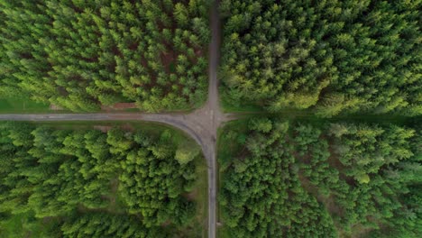 Aerial-bird's-eye-view-over-a-crossroad-of-two-roads-in-the-middle-of-a-dense-green-forest-at-daytime