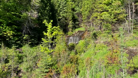 Kleiner-Wasserfall-Im-Weitwinkel-Im-Wald-Mit-Bäumen-An-Einem-Hellen,-Sonnigen-Tag