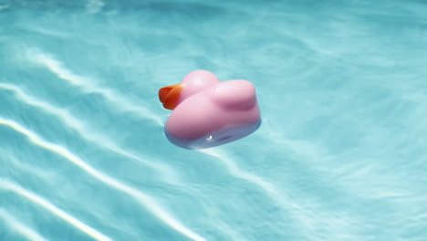 Close-up-of-a-pink-rubber-duck-floating-in-a-pool-as-sun-light-reflects-off-ripples-in-water