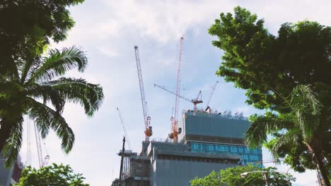Construction-cranes-on-the-top-of-building-in-the-capital-of-Thailand,-first-person-eyes-view-from-the-Lumphini-public-park,-building-site,-and-big-trees