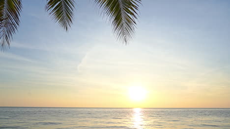 Palm-fronds-drip-into-the-top-of-the-frame-of-a-tropical-ocean-sunset