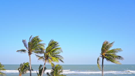 Tropische-Palmen-Biegen-Sich-An-Einem-Wolkenlosen,-Sonnigen-Tag-Unter-Starkem-Wind-Am-Meer