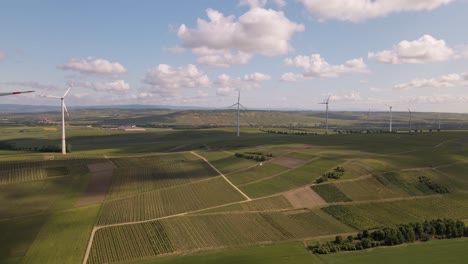 Ein-Windpark-In-Den-Weinfeldern-Von-Rheinland-Pfalz,-Deutschland