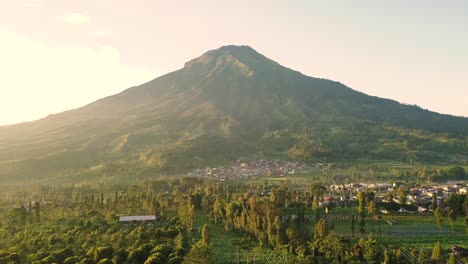 Mount-sumbing-with-rural-view-and-lush-trees-in-tobacco-plantations-with-blue-sky-on-the-background-in-the-morning