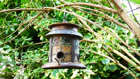 Verzierter-Gartenvogelhäuschen-Aus-Metall,-Gefüllt-Mit-Nüssen-Und-Samen,-Die-Sich-Im-Wind-Von-Einem-Ast-Wiegen