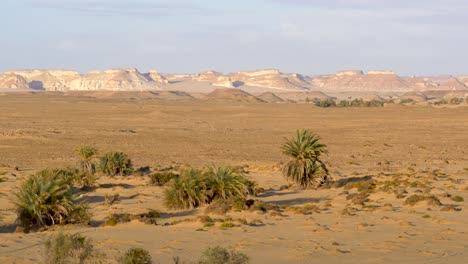 View-of-the-formations-in-the-White-Desert,-Egypt-with-palm-trees