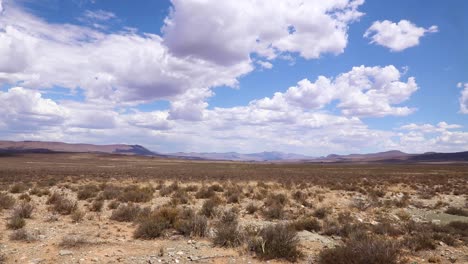 The-Grasslands-of-the-Great-Karoo