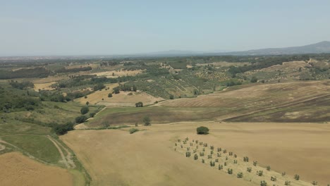 Aerial-images-of-Tuscany-in-Italy-cultivated-fields-summer,-Drone-aerial-images-of-crop-areas