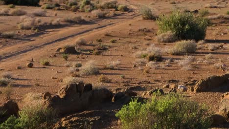 Dry-lands-of-the-Richtersveld-National-Park,-South-Africa