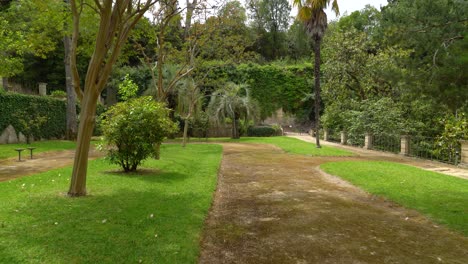 Grünflächen-Mit-Palmen-Und-Kurzem-Gras-Im-Botanischen-Garten-Der-Universität-Coimbra