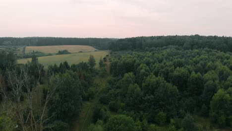 View-of-forest-and-field-in-Kolbudy,-Kaszubia,-pomorskie,-Poland