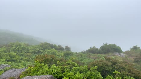 Aerial-top-down-shot-of-dense-fog-and-clouds-in-wilderness-of-Jirisan-National-Park---View-from-peak-down-to-valley---panning-shot