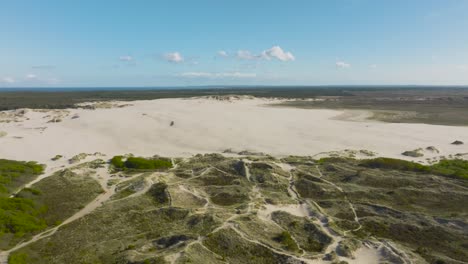 Panoramic-view-of-large-sand-dunes-in-the-middle-of-Denmark's-forest
