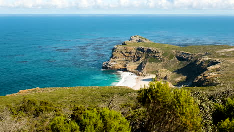 Slider-shot-behind-fynbos-reveals-Diaz-beach-at-Cape-Point,-South-Africa