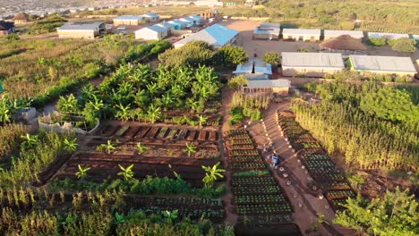 Gemüsebeete-Mit-Bewässerungssystem-In-Einem-Selbsttragenden-Afrikanischen-Dorf