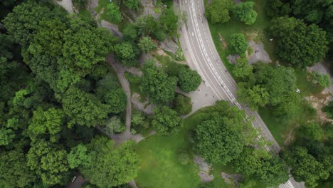 Aerial-view-above-a-road-in-Central-Park,-summer-in-cloudy-New-York,-USA---rotating,-top-down,-drone-shot