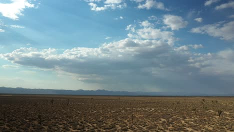 Vista-Cinematográfica-De-La-Cuenca-Del-Desierto-De-Mojave-Con-árboles-De-Joshua-Que-Crecen-En-El-Paisaje-árido---Vista-Aérea-Deslizante