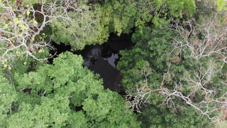 Tolle-Abschlussaufnahme-Eines-Der-Vielen-Berühmten-Cenote-Standorte-An-Der-Riviera-Maya,-Mexiko