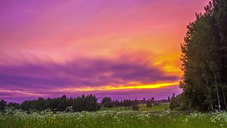 Wolkenlandschaft-über-Einem-Wildblumenfeld-Mit-Leuchtenden-Farben-Bei-Sonnenuntergang-–-Statischer-Weitwinkel-Zeitraffer