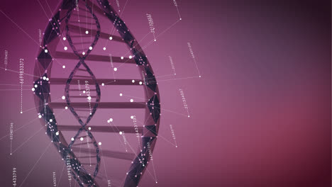 4K-Loop-DNA-red-background-with-animated-data