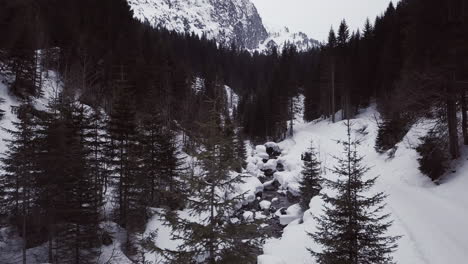 Aerial-drone-shot-of-a-small-valley-with-a-trail-and-a-creek-in-the-alps,-Kleinwalsertal,-Austria,-wintery-snowy,-bad-weather,-mystical-and-gloomy