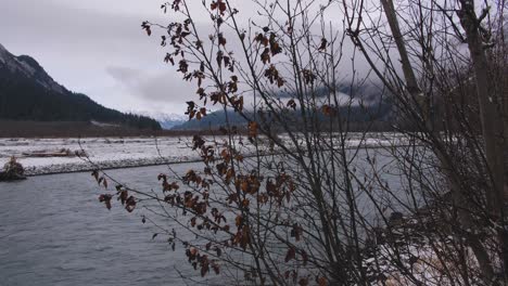 Slider-shot-of-trees-and-river-in-Alaska