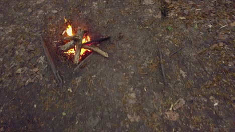 Bonfire-between-trees,-left-abandoned-in-forest,-Fire-Camp-of-burning-woods-alone