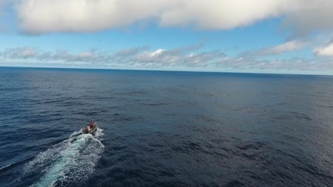 Una-Manada-De-12-Cachalotes-Nadando-Pacíficamente-En-El-Océano